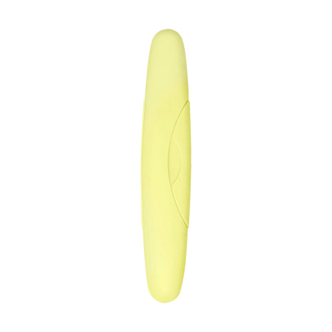 Standard Toothbrush Case