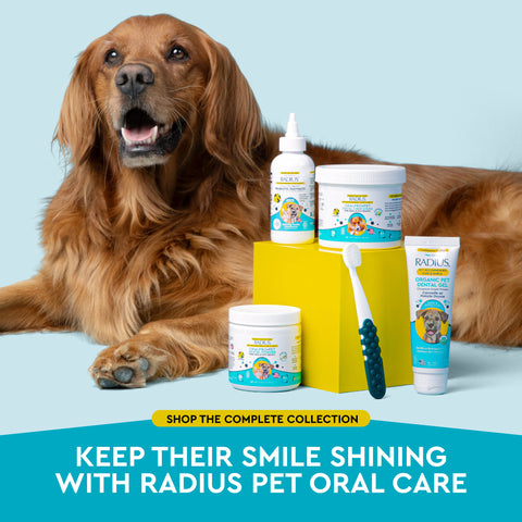 OralPro+ Pet Dental & Gut Chew Sticks for Dogs