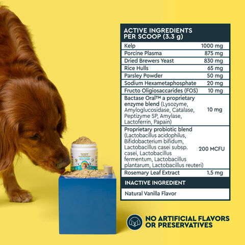 OralPro+ Pet Dental & Gut Powder for Dogs & Cats